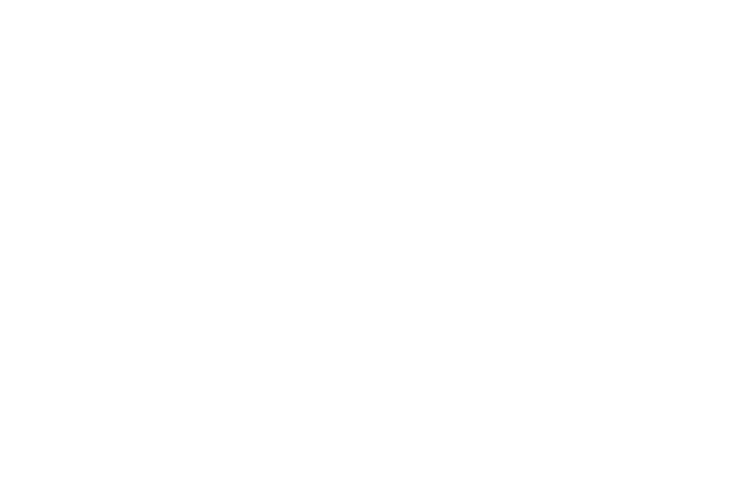 HAAG Certified Inspector